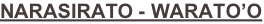 shapeimage_1_link_13